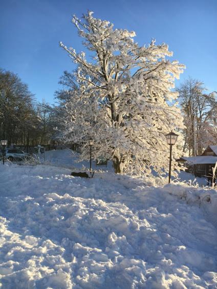 Berggasthof Zum Steira ชอทเทน ภายนอก รูปภาพ