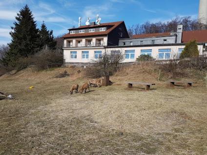 Berggasthof Zum Steira ชอทเทน ภายนอก รูปภาพ